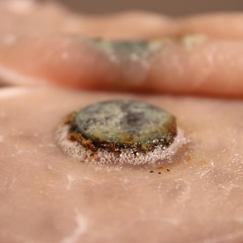 Button cell battery warning ahead of Christmas | HSC Public Health Agency